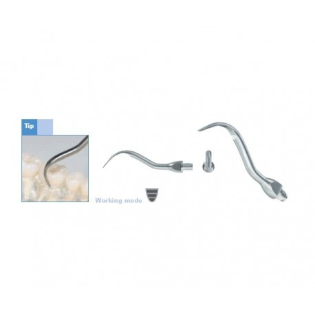 NEGATOSCOPIO LED EXTRAPLANO DOBLE CUERPO PARED