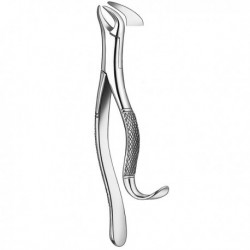 FORCEPS MOL.INF. C.VACA