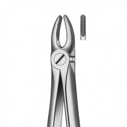 FRESADORA EN HUMEDO CLINICA PREMIUM +