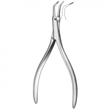 CHARISMA ABC PLT CAPSULAS 20X0.2GR.
