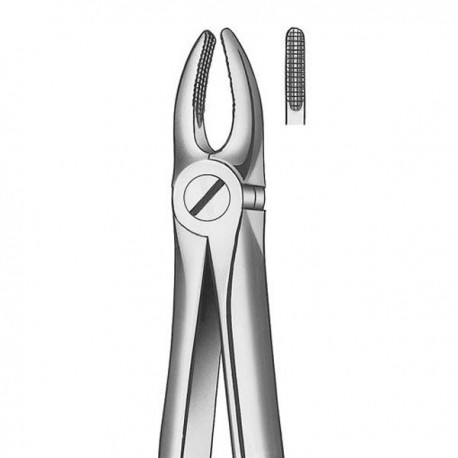 FORCEPS INCIS-CANINO SUP