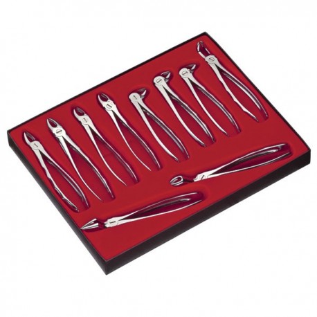 ESTUCHE FORCEPS 10 LIQUID STEEL