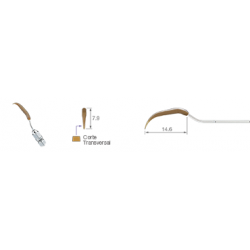 GC COMPOSITE MODELING KIT
