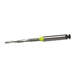 CVHL5 TALLADOR HOLLENBACK