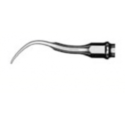 CVHL1 TALLADOR HOLLENBACK