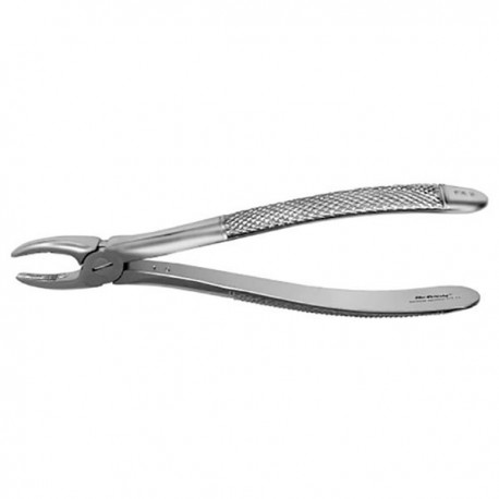 FX2E FORCEPS INC.-CANINO SUPERI