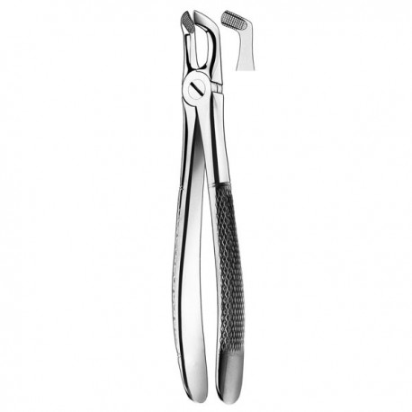 FORCEPS CORDAL INFERIOR