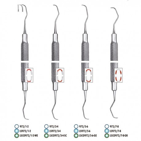 GRACEY ANTERIOR