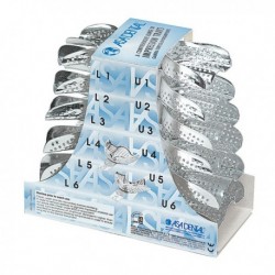 COE PACK AUTOMIX 2x50ml.