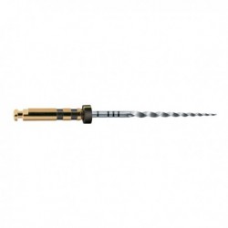 LIMAS PROTAPER GOLD MAILLEFER 6uds