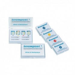 SNOWPOST REPOS.10 POSTES