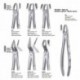 FORCEPS INCIS.-CANINO SUP. LIQUIDSTEEL