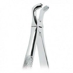 FORCEPS CORDALES INFERIORES