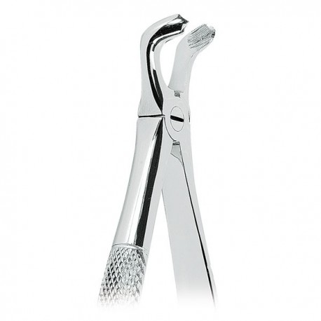 FORCEPS CORDALES INFERIORES