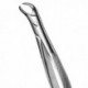 FORCEPS MOLARES INFERIORES