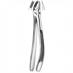 FORCEPS MOLAR SUPERIOR DCHA