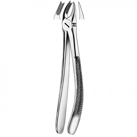 FORCEPS MOLAR SUPERIOR DCHA