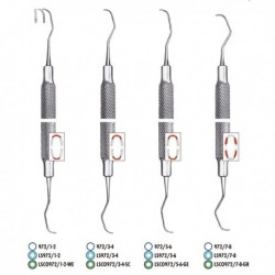 GRACEY ANTERIOR