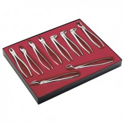 ESTUCHE 10 FORCEPS