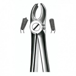 FORCEPS N.18 MOLAR SUP.DCH