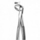 FORCEPS PREMOLAR INF