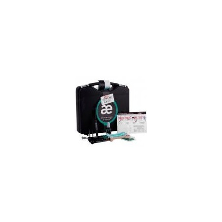 EVERX POSTERIOR INTRO KIT 30u. + APLICADOR----