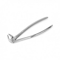 FORCEPS DE EXTRACCION (FORMA INGLESA) FIG.33-A