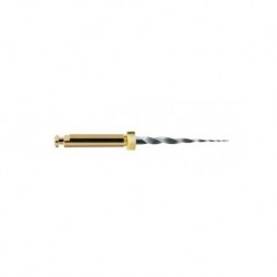 LIMAS PROTAPER NEXT ACCESS OPENER FILE XA 19mm  6u.