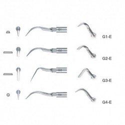 INSERT PARA EMS: ESCARIFICACIÓN G1-E