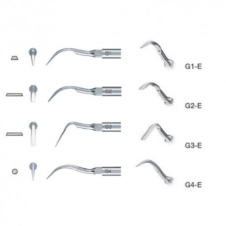 INSERT PARA EMS: ESCARIFICACIÓN G1-E