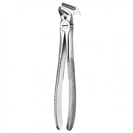 8 FORCEPS PREMOLAR INFERIOR