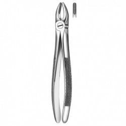 FORCEPS INCISIVO-CANINO SUP.