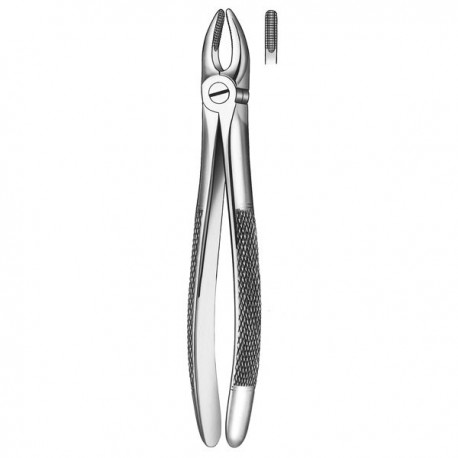 FORCEPS INCISIVO-CANINO SUP.