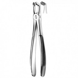 FORCEPS CORDALES INFERIORES