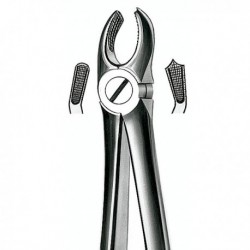 FORCEPS MOLAR SUP. DERECHO