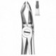 FORCEPS MOLARES SUPERIOR.