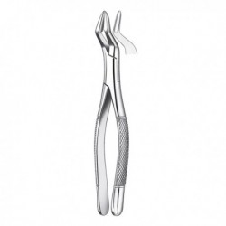MODULO MOTOR DE ENDODONCIA PARA EL LOCALIZADOR DE APICES DENTAPORT TRI AUTO ZX II OTR