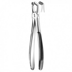 -17cm. GUBIA LUER