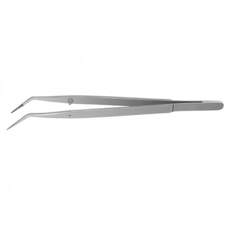 DP19 PINZA