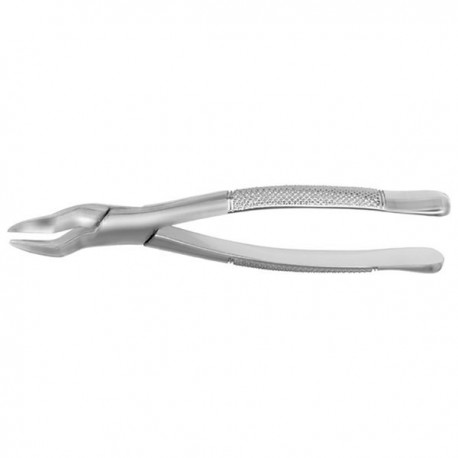 F65 FORCEPS