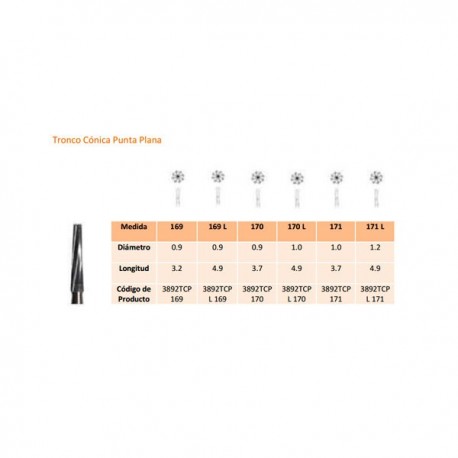 169L FG CARB.TUNGS.FIG.23L 5ud