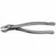 F53R FORCEPS MOLAR. SUP. DCHO.