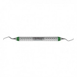 SAS7/89 GRAC.MINI FIVE EVEREDGE