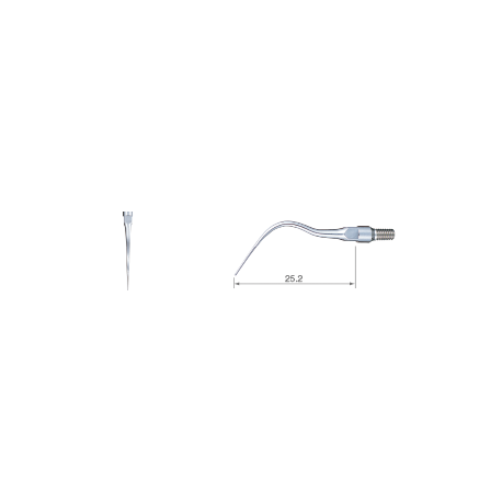 CD89/927 TALL.CLEOID-DISC. M7