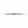 SG5/69 GRACEY ANTERIOR EVEREDGE