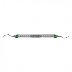 SAS7/89 GRAC.MINI FIVE EVEREDGE
