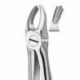 FORCEPS NIÑOS MOLAR DCHO.